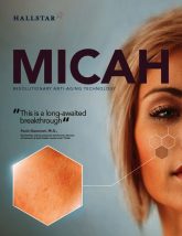 thumbnail of micah-brochure